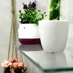 Sunny Flat In The Center Of Tirana, 2 Min. Walk