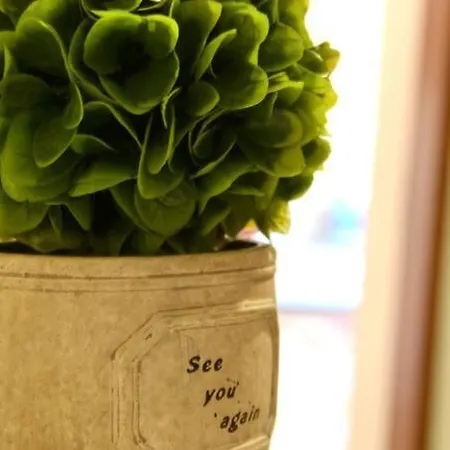 Sunny Flat In The Center Of Tirana, 2 Min. Walk Apartment *